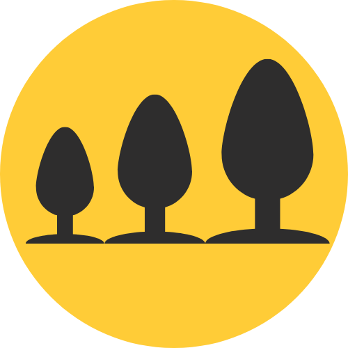 Butt Plug Sets