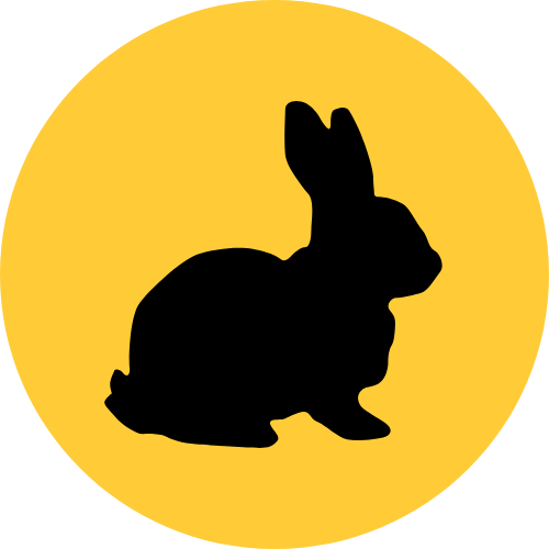 Rabbit Vibrators