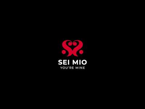SEI MIO - Slap and Tickle - Dual Ended Crop and Tickler