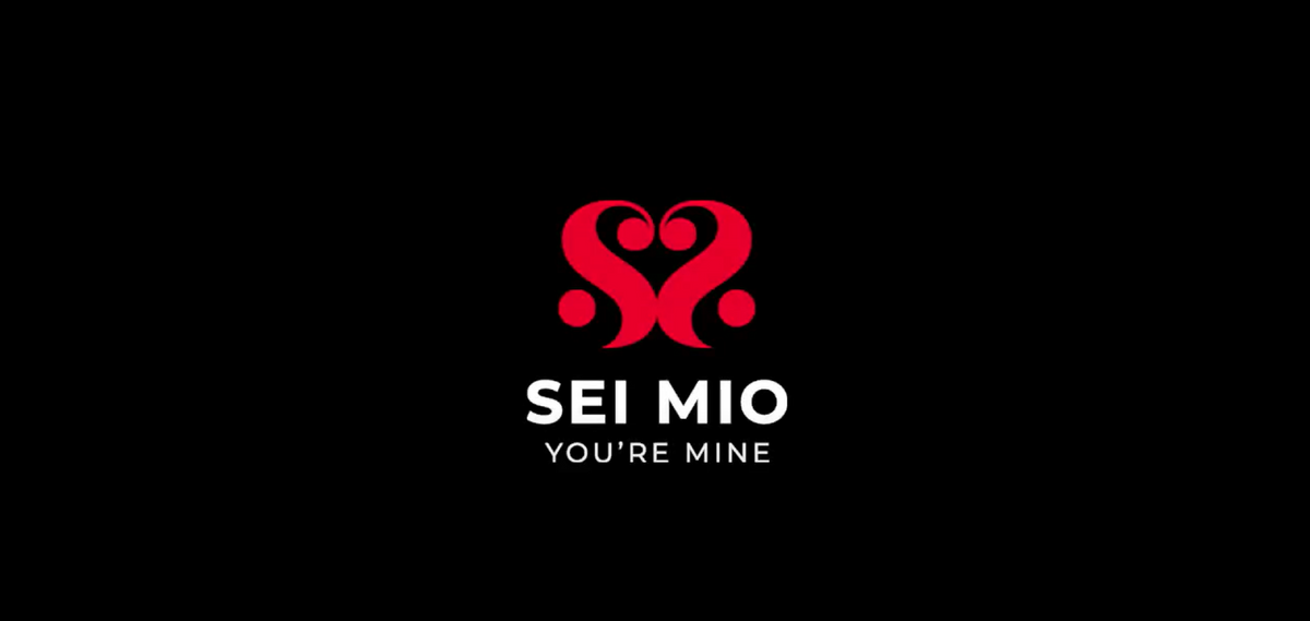 SEI MIO - Primed for Punishment - Faux Leather Flogger